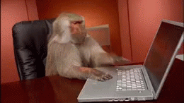 Password monkey